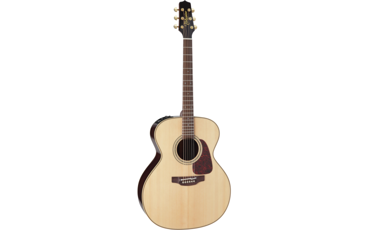TAKAMINE P5J