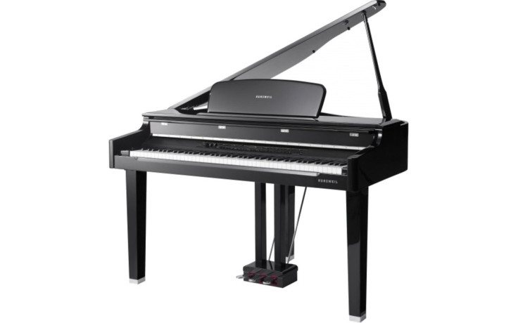 Kurzweil CGP220 W