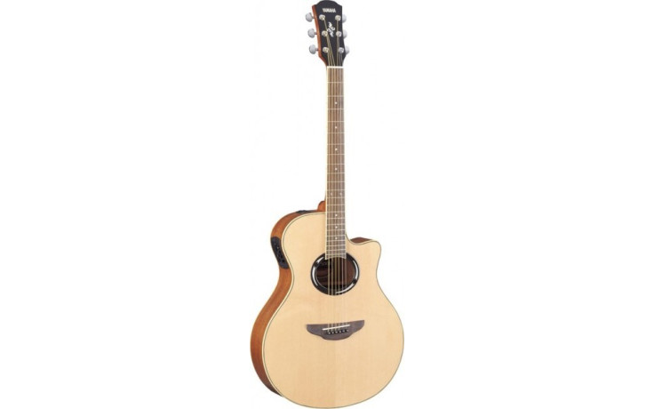TAKAMINE G320
