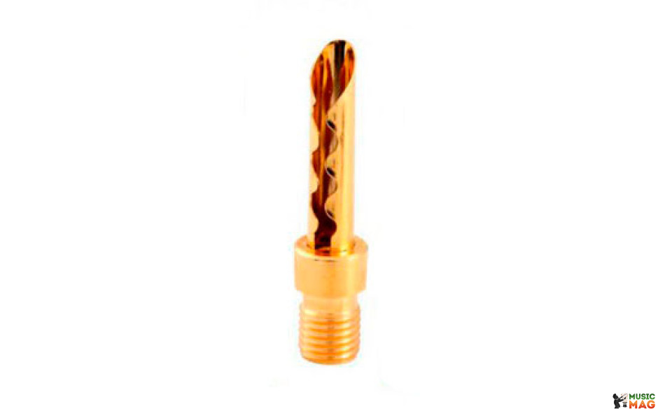 Atlas Transpose Adapters Gold Z