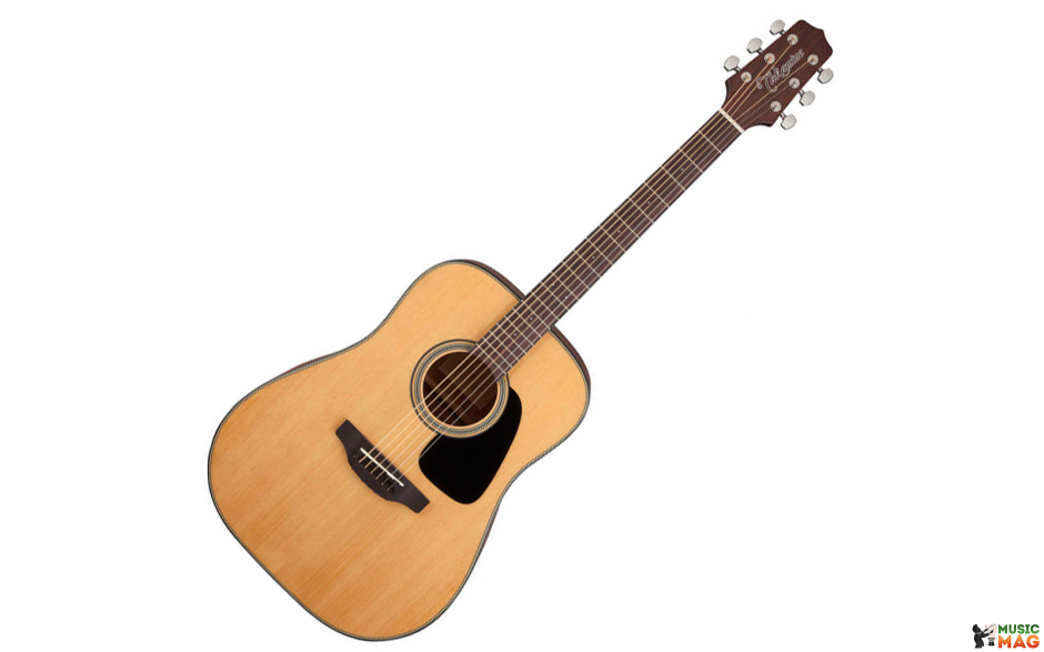 TAKAMINE GD10 NS