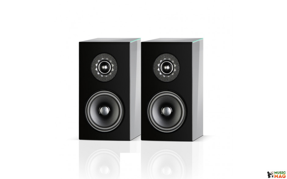 Audio Physic Classic Compact Grey Brown