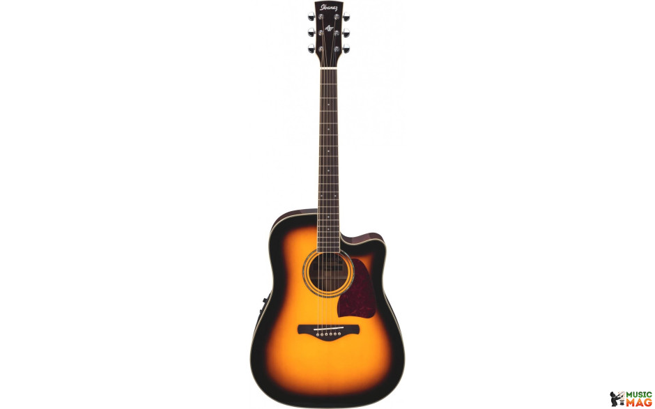 IBANEZ AW300ECE VS