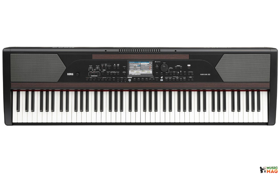 KORG HAVIAN 30