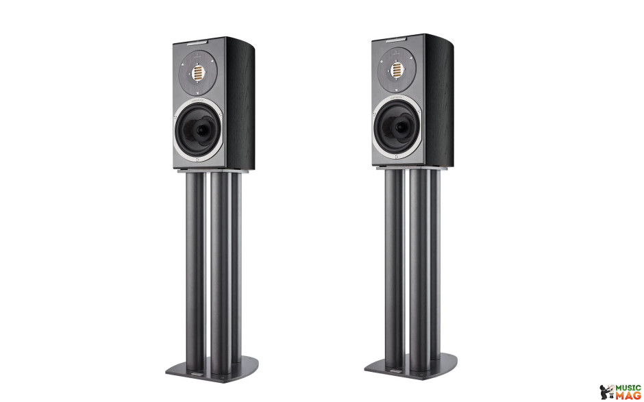 Audiovector R1 Arrete Black Ash