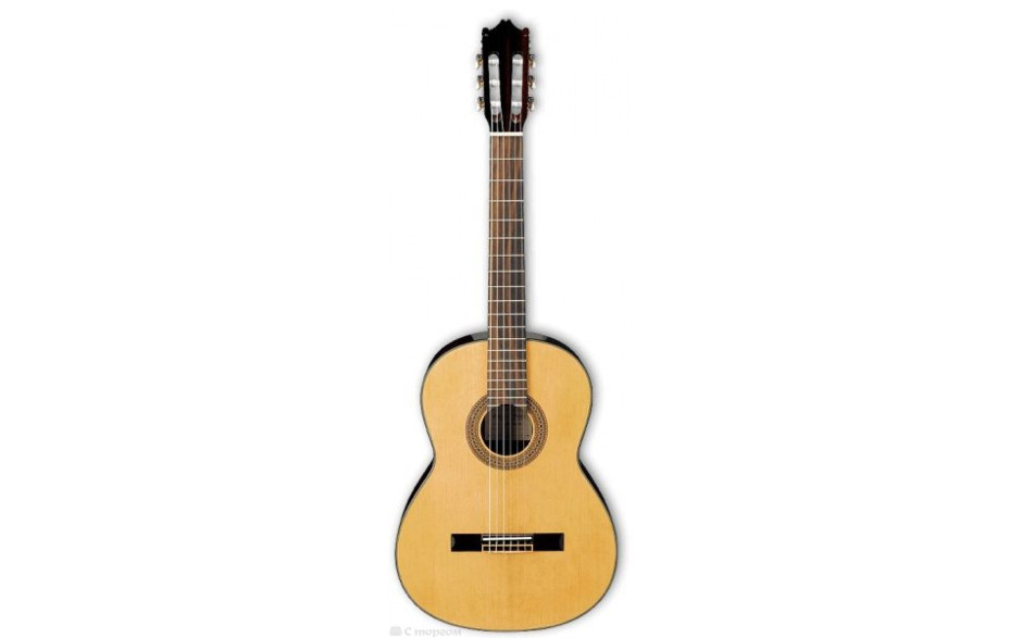 IBANEZ G100 NT