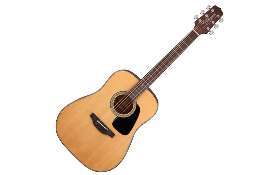 TAKAMINE GD10 NS
