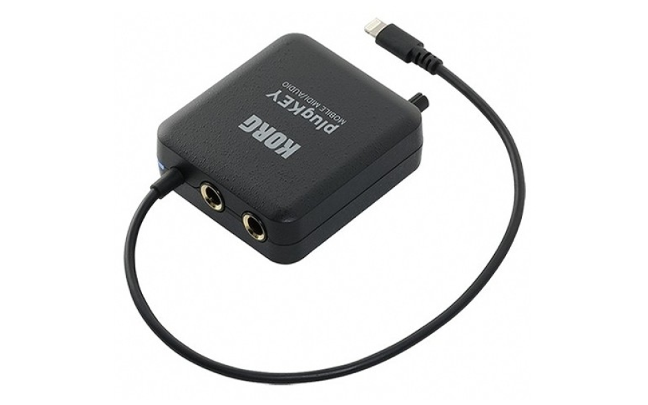 KORG PLUGKEY-BK