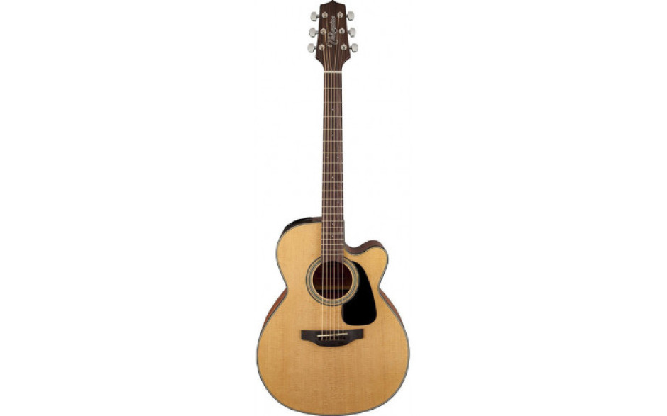 TAKAMINE GN10CE NS