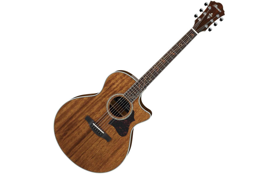 IBANEZ AE245 NT