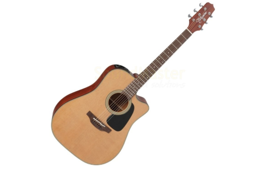 TAKAMINE P1DC