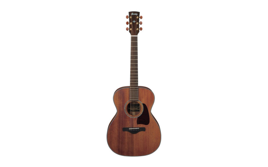 IBANEZ AC2040 OPN