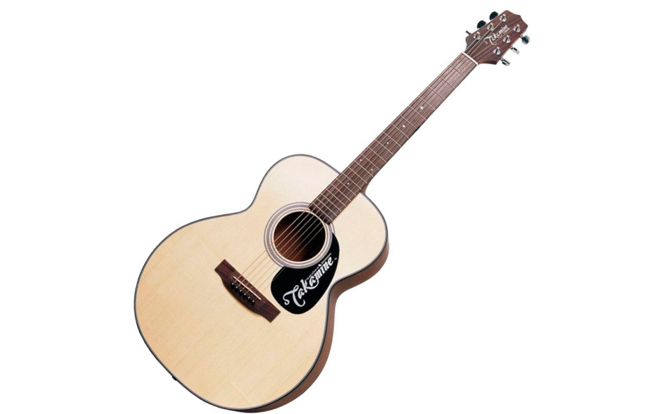 TAKAMINE G220
