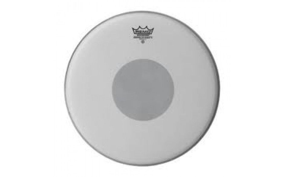 REMO CONTROLLED SOUND X13