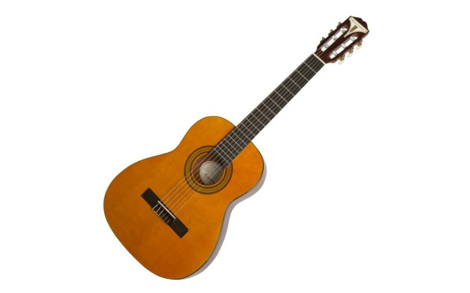 EPIPHONE PRO-1 CLASSIC 3/4