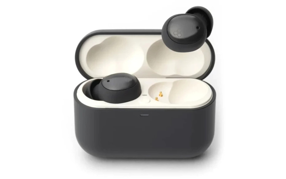 Final Audio ZE500 for ASMR Dark Gray