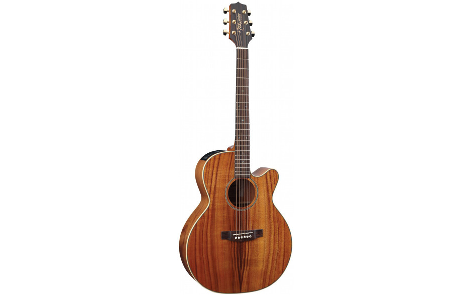 TAKAMINE EG544CK