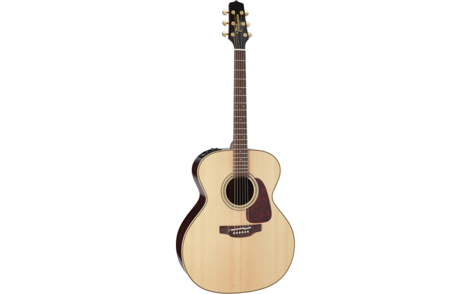 TAKAMINE P5J