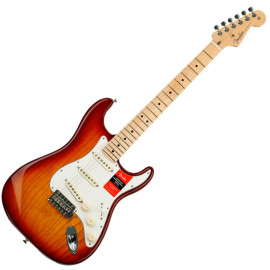 FENDER AMERICAN PROFESSIONAL STRATOCASTER (ASH) MN SSB