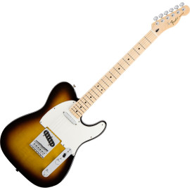 Fender RW x SPRUCE TELECASTER NAT