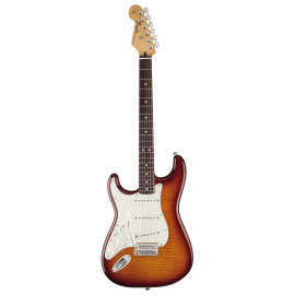 FENDER STANDARD STRATOCASTER PLUS TOP RW TBS