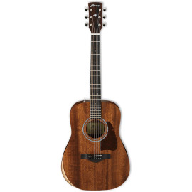 IBANEZ AW54JR OPN