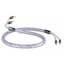 QED GENESIS PRE-TERM CABLE 2.5M (QE1482)