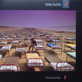 PINK FLOYD - A MOMENTARY LAPSE OF REASON 1987/2016 (PFRLP13, 180 gm.) GAT, PARLOPHONE/EU MINT (0190295996949)