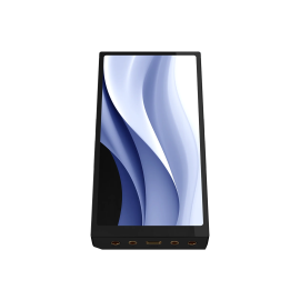 Hiby R6Pro Max Black