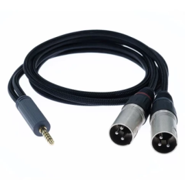 iFi audio Balanced 4.4 mm to XLR cable SE - 1 м