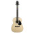PEAVEY Acoustic ChordBuddy Pack