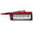 KORG RK-100S-RD