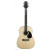 PEAVEY 3/4 Acoustic ChordBuddy Pack