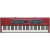 Nord Piano 6 73