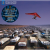 Pink Floyd – A Momentary Lapse Of Reason Vinyl 2LP