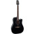 TAKAMINE EG341SC