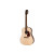 GIBSON G-45 NATURAL