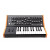 MOOG SUBSEQUENT 25