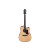 IBANEZ AAD300CE LGS
