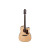 IBANEZ AAD170CE LGS