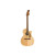 FENDER NEWPORTER PLAYER NATURAL WN