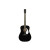 FENDER PM-1E DREADNOUGHT MAHOGANY BLACK TOP LTD