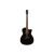 FENDER PM-3CE TRIPLE-O MAHOGANY BLACK TOP LTD
