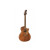 FENDER NEWPORTER PLAYER ALL MAHOGANY WN