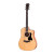 Taylor Guitars 110CE