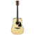 IBANEZ AW3000 NT