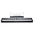 Kurzweil KA-P1 LB