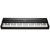 Kurzweil MPS120
