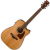 IBANEZ AVD9CE-NT