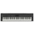 KORG KORG SV1-88R-BK